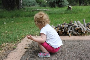 Cassidy loved getting dirty!